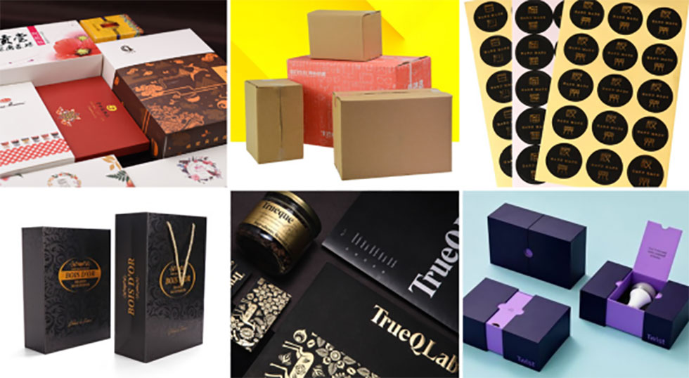 Automatic Die Cutting and Creasing Machine